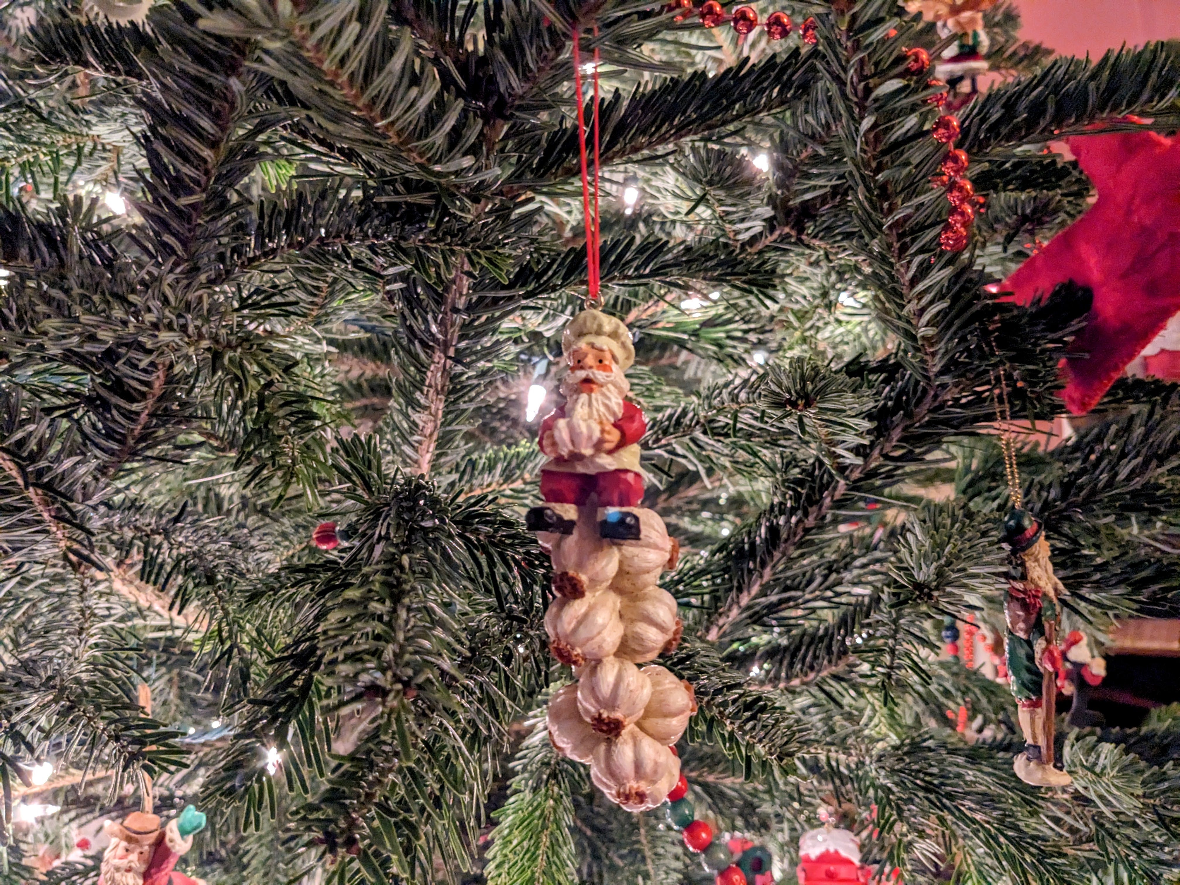 Garlic Santa